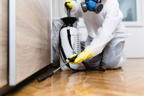 Best Cockroach Control Services  in Macom, IL