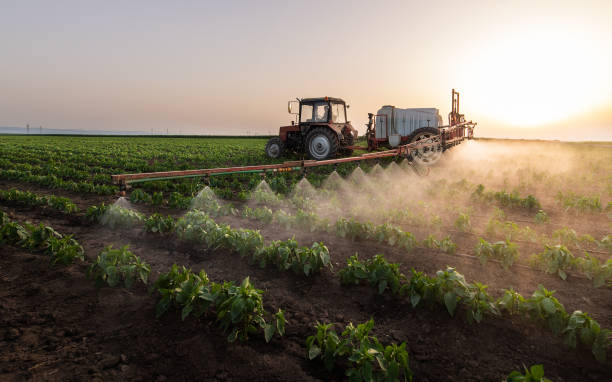Reliable Macom, IL Pest Control Solutions