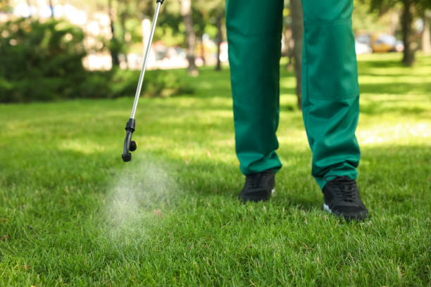 Pest Prevention Services in Macom, IL