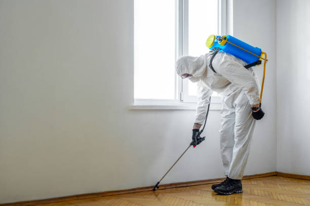Best Pest Prevention Services  in Macom, IL
