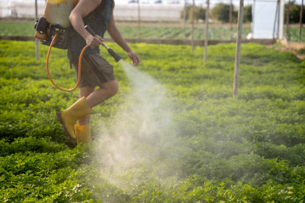 Best Pest Inspection Near Me  in Macom, IL