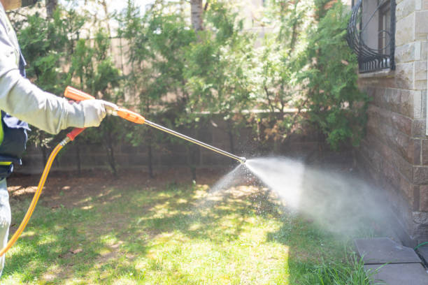 Best Ant Control Services  in Macom, IL