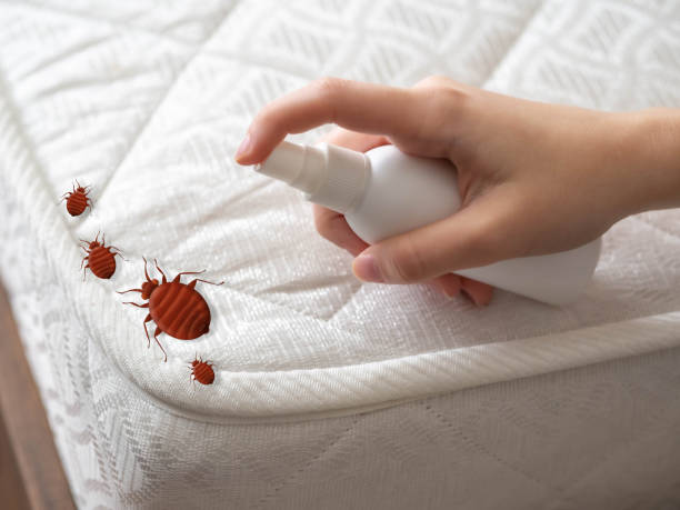 Best Termite Control Services  in Macom, IL