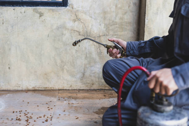 Best Flea Control Services  in Macom, IL